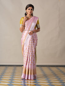 Kalamkari Cotton Saree